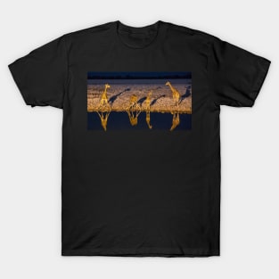 Giraffe At The Waterhole, Etosha National park T-Shirt